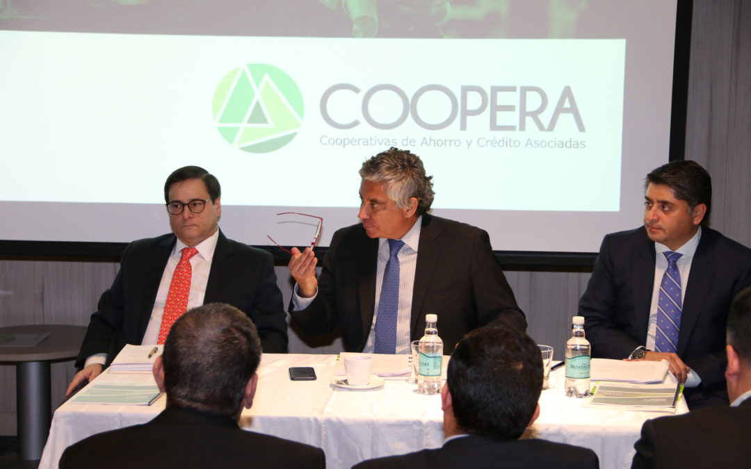 Directorio de Coopera analizó avances en 2018 y planeó sus desafíos a futuro
